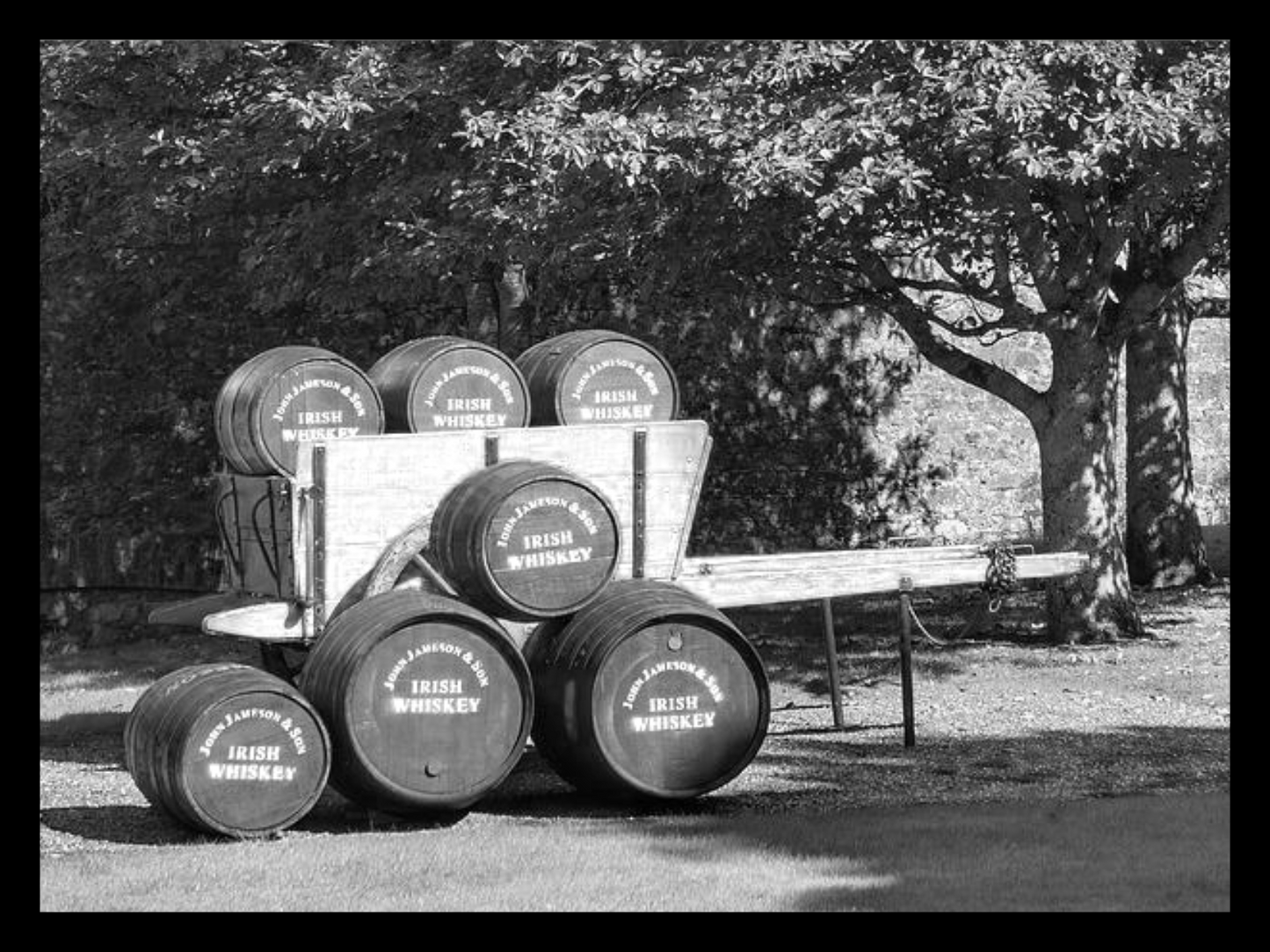 03. Dezember 2022 WhiskeyTasting