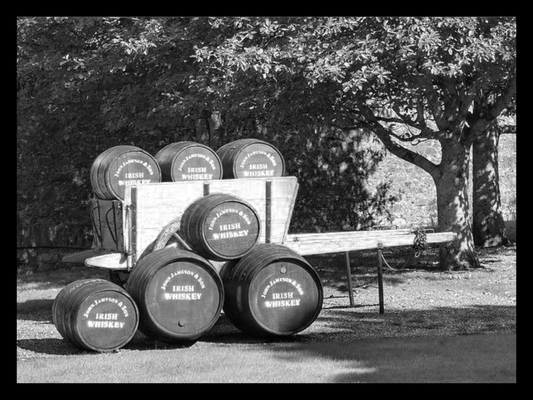 03. Dezember 2022 WhiskeyTasting